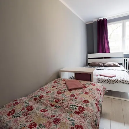 Happy Old Town Vratislav