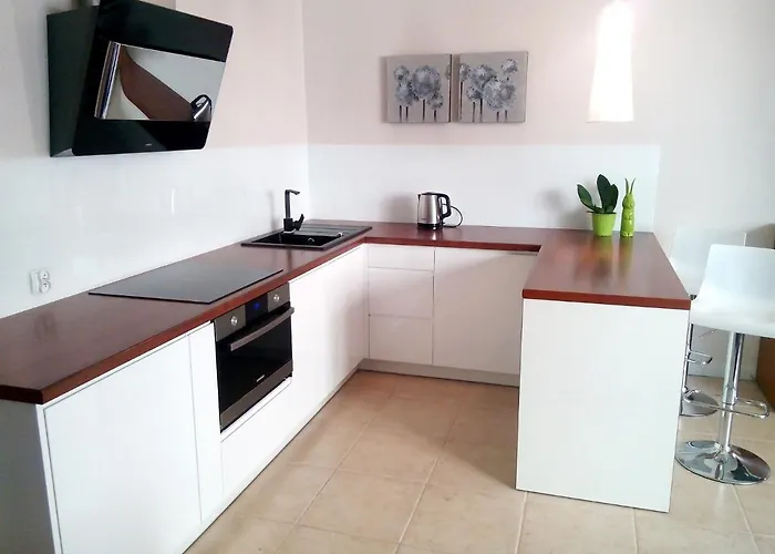 Apartment Happy Old Town